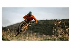 Horquilla Fox Racing Shox 34 Float Factory 29 '' | Grip 2 | Impulso 15x110 | Desplazamiento De 44 Mm | Naranja 2023 -Cuadros Tienda de ventas 20484336087c2e83e60e6.97978052