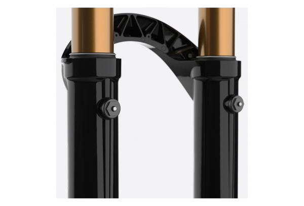 Horquilla Fox Racing Shox 40 Float Factory 29 '' Grip 2 | Boost 20x110mm | Desplazamiento 52 | Negro 2023 8 Horquilla Fox Racing Shox 40 Float Factory 29 '' Grip 2 | Boost 20x110mm | Desplazamiento 52 | Negro 2023 - Imagen 6