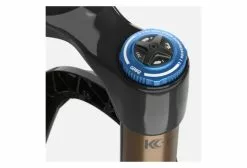 Horquilla Fox Racing Shox 36 Float Factory Grip 2 29 '' | Impulsar 15x110 | Compensación 51 | Negro 2022 -Cuadros Tienda de ventas 208176060bddc01b84bd5.34371290