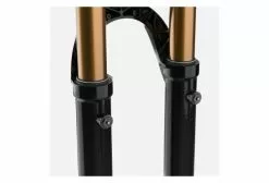 Horquilla Fox Racing Shox 36 Float Factory Grip 2 29 '' | Impulsar 15x110 | Compensación 51 | Negro 2022 -Cuadros Tienda de ventas 208176060bddc214ca318.98348932
